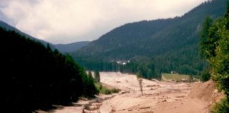 Quarant’anni dalla tragedia di Stava: undici mantovani non fecero ritorno