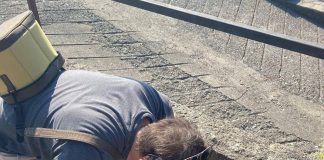 Epis (Statale Milano): “Le zanzare circolano ma la stagione è in ritardo nel Nord Italia”