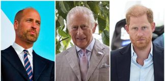 Pace fra William, Harry e Carlo? Interviene il sensitivo: “Non prima di otto anni”