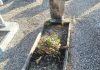 Atto vandalico al cimitero di Palidano: indignazione e sconcerto