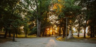 Al via domani sera il “Nuvolari Social Garden”