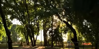 Musica, birra, cultura e nuove idee: al via il Nuvolari Social Garden