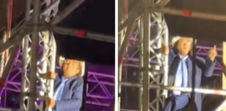 Al Bano versione Spiderman, a 82 anni si arrampica sul palco – Il video