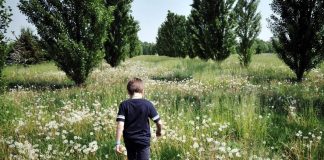 Bambini di campagna più a rischio diabete, la sorpresa da uno studio