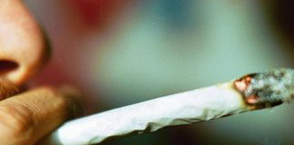 Cannabis, potenza in aumento: 5 cose da sapere su rischio psicosi