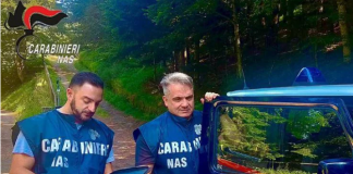 Botulino, in quali alimenti si forma: i consigli dei Nas