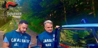 Botulino, Nas: “Conserve vegetali più a rischio, quando le aprite attenti al clic clac”