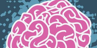 Cervello, ecco cosa provoca l’invecchiamento: studio svela la causa scatenante