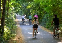 Ciclovia Ostiglia-Treviso, Incorvaia interroga la Giunta: “A che punto è il progetto?”