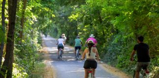 Ostiglia-Treviso, fondi rinviati. Pressing di Incorvaia e Carra: “Veneto corre, Lombardia indietro”