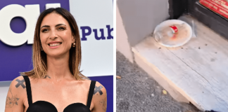 Ema Stokholma, sfogo per la sporcizia a Roma: “Smerd… dai turisti per il giubileo”