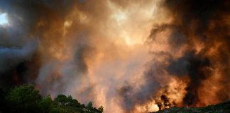 Francia, incendi nel sud: un morto e migliaia di sfollati. “Disastro senza precedenti”
