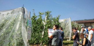 Bonus agricoltori, al via da oggi le domande: a chi spetta e come funziona