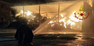 Incendio a Castelletto Borgo: in fumo 300 rotoballe, intervento ancora in corso