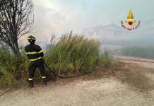 Dosolo, tre roghi di sterpaglie in via Argine Maestro impegnano i Vigili del Fuoco