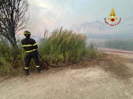 Dosolo, tre roghi di sterpaglie in via Argine Maestro impegnano i Vigili del Fuoco