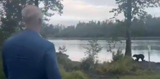 Dmitriev incontra un orso in Alaska prima del vertice: “Sia di buon auspicio”