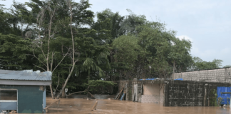 Inondazioni e frane in Thailandia, sei morti per la tempesta tropicale Wipha