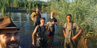 Paludi di Ostiglia: marcata la 135° testuggine palustre, eliminate le specie dannose