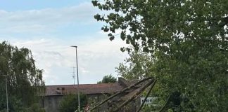 Maltempo, piante e rami caduti nella Bassa. Moltissime le chiamate ai Vigili del Fuoco