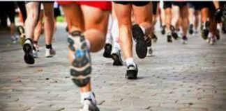 Sermide e Felonica, domenica 17 torna la MarciaFlonga: sport, natura e comunità