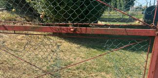 Raid in pieno giorno al campo sportivo, ma i ladri scappano a mani vuote