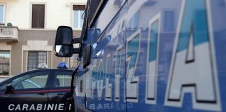 Agrigento, orrore a Naro: sgozza randagio e tenta di mangiarlo