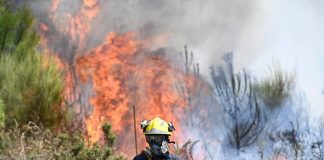 Caldo record in Spagna, ad agosto l’ondata più intensa mai registrata