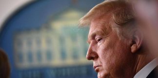 Ucraina, Trump: “Putin e Zelensky organizzano incontro, ora meglio senza di me”