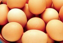 Richiamate uova fresche per pericolo salmonella. Il Ministero: “Non consumatele”