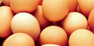 Richiamate uova fresche per pericolo salmonella. Il Ministero: “Non consumatele”