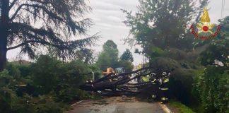 Maltempo al centronord, alberi caduti e allagamenti: oltre 1300 gli interventi dei Vigili del Fuoco