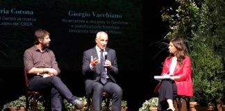 Corona (Crea): “Da situazione ambientale e geopolitica impatti su forniture del legno”