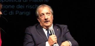 Legno, Semeraro (Rilegno): “Consorzio impegnato ad ottimizzare risorse forestali”