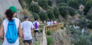 Tumori, torna ‘Fitwalking for Ail’, camminata solidale per i pazienti ematologici