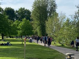 Sponde dei laghi, ok della giunta Palazzi all’accordo per consolidamento e valorizzazione