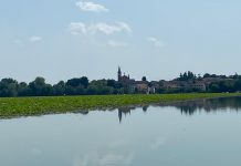 Provincia e Parco del Mincio insieme per il recupero ambientale del Lago Superiore