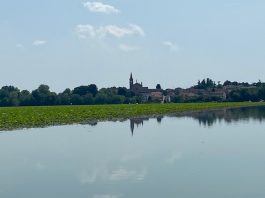Provincia e Parco del Mincio insieme per il recupero ambientale del Lago Superiore