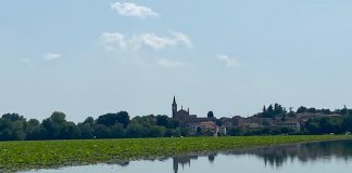Provincia e Parco del Mincio insieme per il recupero ambientale del Lago Superiore