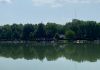 Lago Superiore, da Regione 300mila euro per biodiversità e riqualificazione sponde