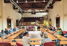 Suzzara: gli appuntamenti della Giornata Internazionale contro la Violenza di Genere