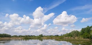 Isola Boscone e Palude di Ostiglia: via libera ai nuovi Piani di Gestione