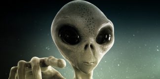 San Giacomo delle Segnate, cinema sotto le stelle: alieni, popcorn e divertimento