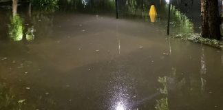 Maltempo, 70 mm di pioggia in poche ore nel Mantovano. Albero caduto su un’auto a Marmirolo