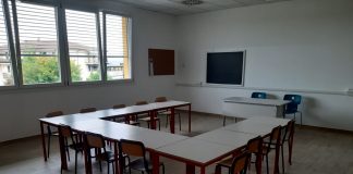 Motteggiana, topi a scuola, attesa la valutazione di Ats Val Padana