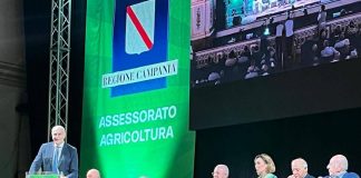 Prima giornata da record al Campania Mater, tra folla, idee e visione