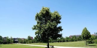 Estate piena nel weekend poi arriva l’autunno con forti temporali