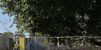 Il Papacqua si tinge di blu per il Festivaletteratura con presentazione libri e Broccante