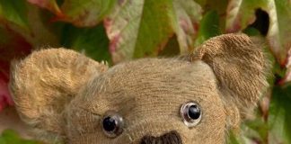 “A Teddy Bear serve un nuovo look”. L’appello della scienza per peluche eco-maestri