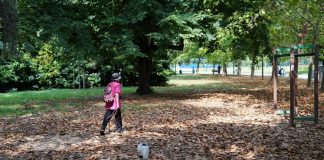 Arriva l’autunno, cos’è l’equinozio e quando cade